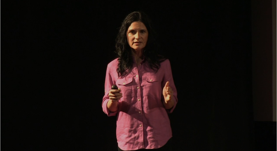 Speaker presenting